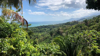 Archäologische Forschungen im Nordosten von Honduras