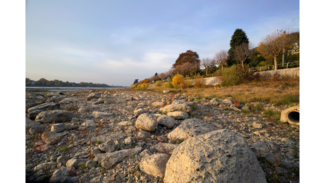 Bonn, das Klima und wir