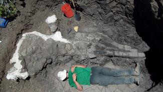 Science Espreeso im Wissenschaftszentrum Bonn